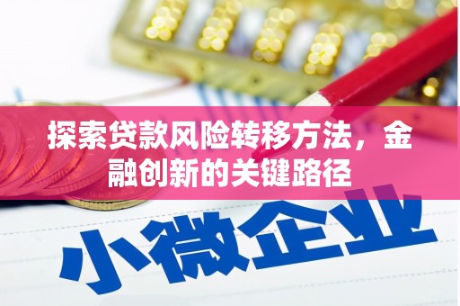 睢宁探索贷款风险转移方法，金融创新的关键路径