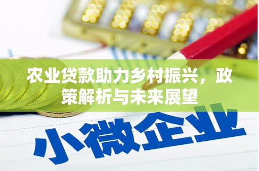 睢宁农业贷款助力乡村振兴，政策解析与未来展望
