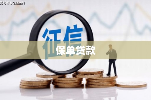 睢宁保单贷款