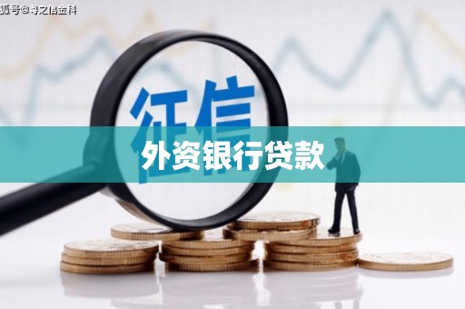 睢宁外资银行贷款