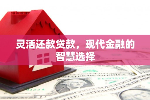 睢宁灵活还款贷款，现代金融的智慧选择