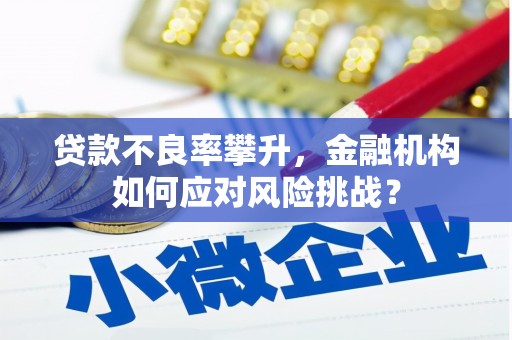 睢宁贷款不良率攀升，金融机构如何应对风险挑战？