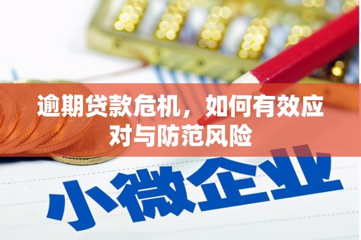 睢宁逾期贷款危机，如何有效应对与防范风险