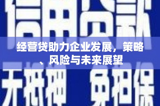 睢宁经营贷助力企业发展，策略、风险与未来展望