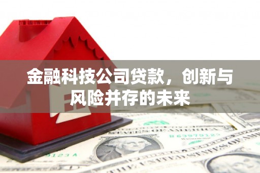 睢宁金融科技公司贷款，创新与风险并存的未来