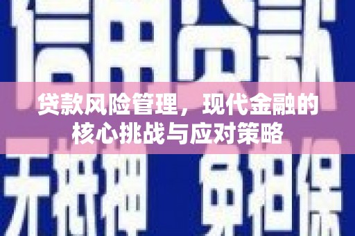 睢宁贷款风险管理，现代金融的核心挑战与应对策略