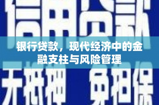 睢宁银行贷款，现代经济中的金融支柱与风险管理