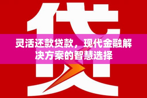 睢宁灵活还款贷款，现代金融解决方案的智慧选择