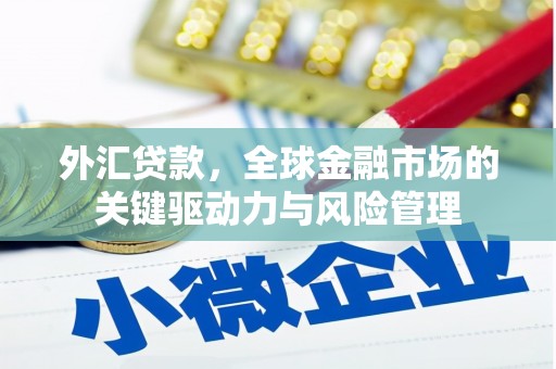 睢宁外汇贷款，全球金融市场的关键驱动力与风险管理