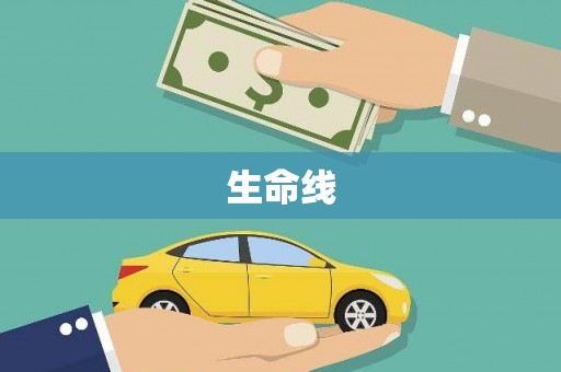 睢宁生命线