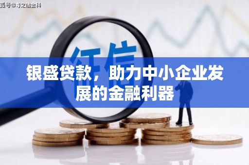 睢宁银盛贷款，助力中小企业发展的金融利器