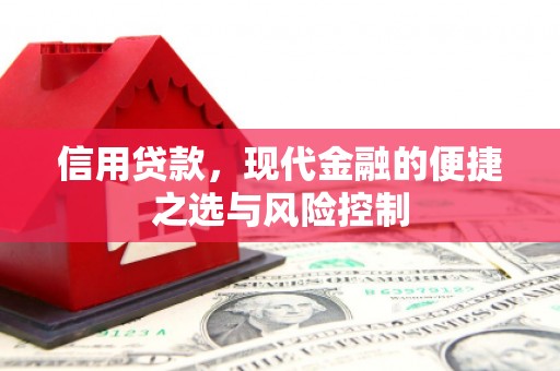 睢宁信用贷款，现代金融的便捷之选与风险控制