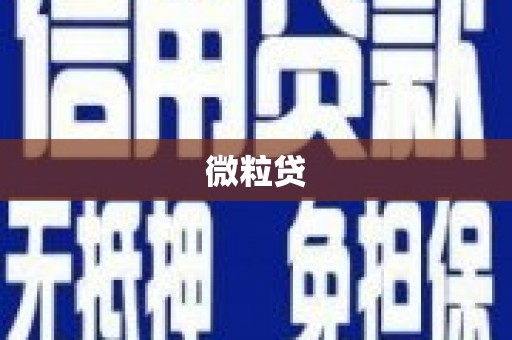 睢宁微粒贷