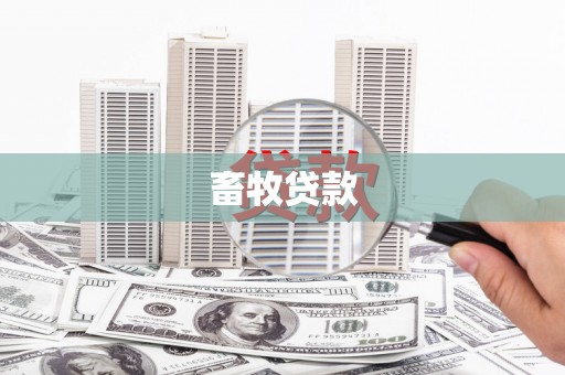 睢宁畜牧贷款