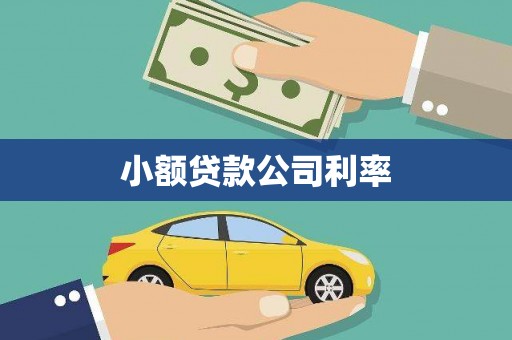 睢宁小额贷款公司利率