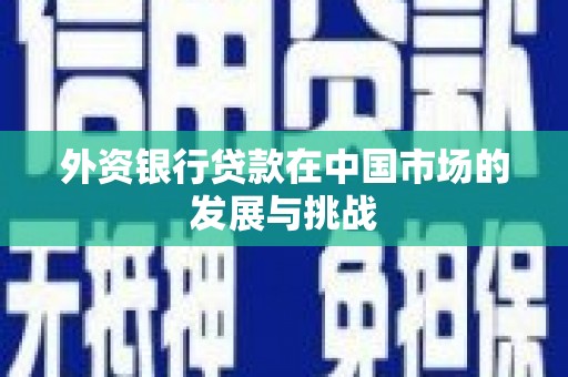 睢宁外资银行贷款在中国市场的发展与挑战