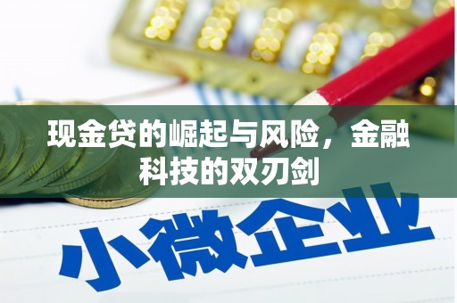 睢宁现金贷的崛起与风险，金融科技的双刃剑