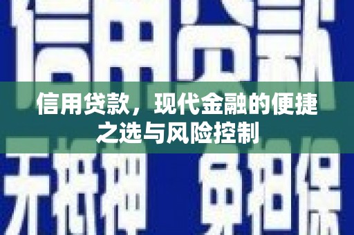 睢宁信用贷款，现代金融的便捷之选与风险控制