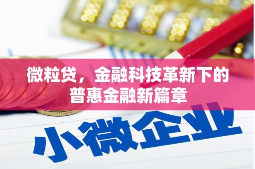 睢宁微粒贷，金融科技革新下的普惠金融新篇章