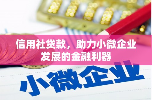 睢宁信用社贷款，助力小微企业发展的金融利器