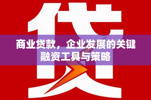 睢宁商业贷款，企业发展的关键融资工具与策略
