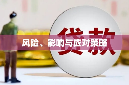 睢宁风险、影响与应对策略