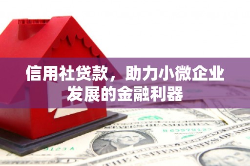睢宁信用社贷款，助力小微企业发展的金融利器