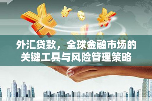 睢宁外汇贷款，全球金融市场的关键工具与风险管理策略