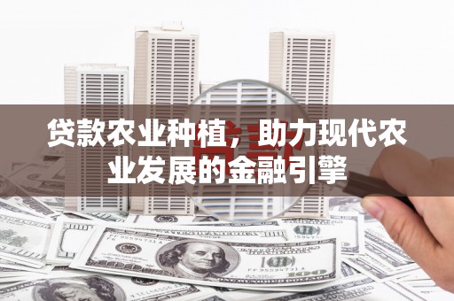 睢宁贷款农业种植，助力现代农业发展的金融引擎