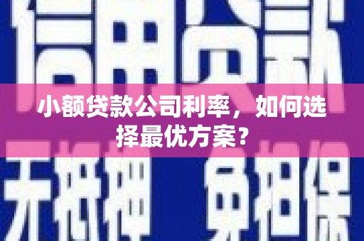 睢宁小额贷款公司利率，如何选择最优方案？