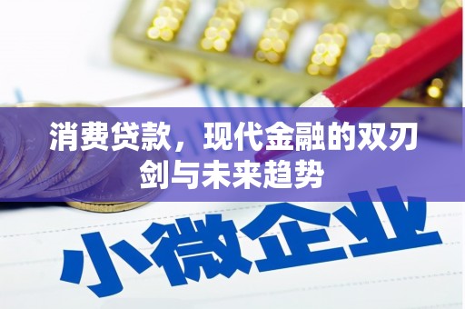 睢宁消费贷款，现代金融的双刃剑与未来趋势