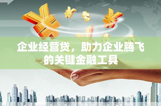 睢宁企业经营贷，助力企业腾飞的关键金融工具