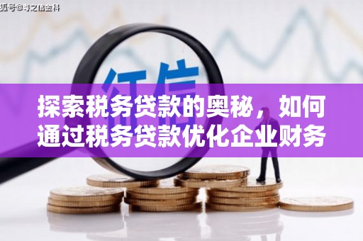 睢宁探索税务贷款的奥秘，如何通过税务贷款优化企业财务