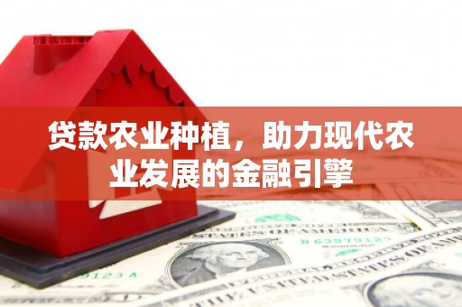 睢宁贷款农业种植，助力现代农业发展的金融引擎