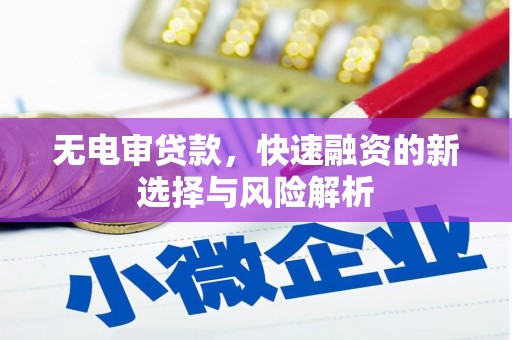 睢宁无电审贷款，快速融资的新选择与风险解析