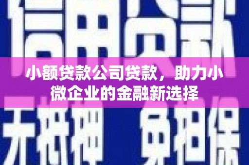睢宁小额贷款公司贷款，助力小微企业的金融新选择
