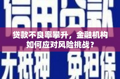 睢宁贷款不良率攀升，金融机构如何应对风险挑战？
