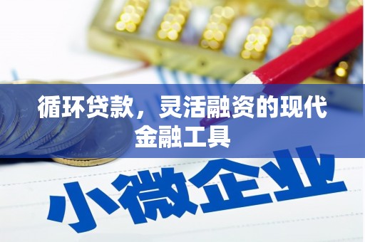 睢宁循环贷款，灵活融资的现代金融工具