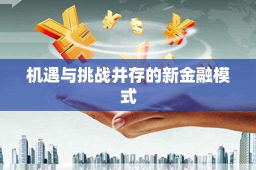睢宁机遇与挑战并存的新金融模式