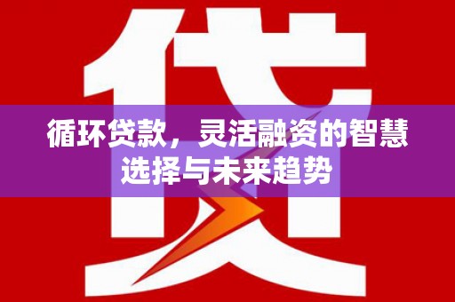 睢宁循环贷款，灵活融资的智慧选择与未来趋势