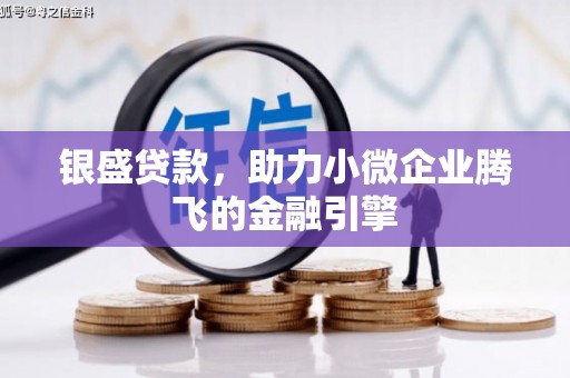 睢宁银盛贷款，助力小微企业腾飞的金融引擎
