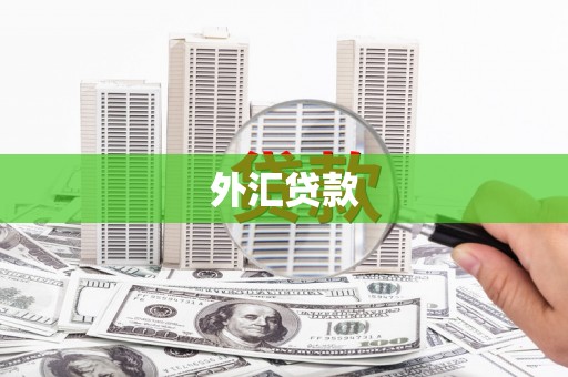 睢宁外汇贷款
