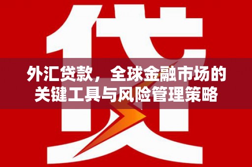 睢宁外汇贷款，全球金融市场的关键工具与风险管理策略