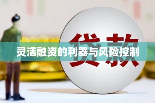 睢宁灵活融资的利器与风险控制