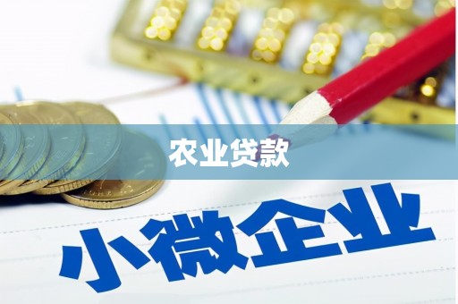 睢宁农业贷款