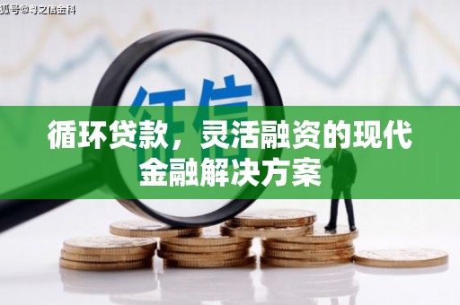 睢宁循环贷款，灵活融资的现代金融解决方案