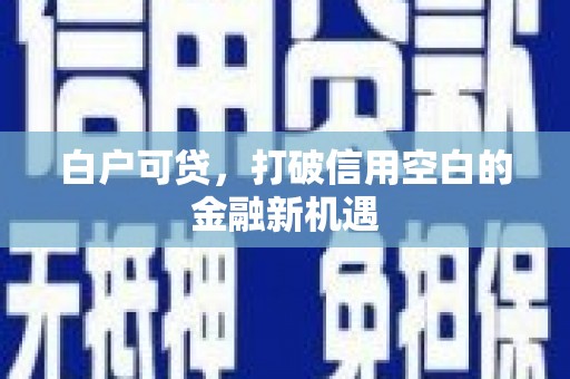 睢宁白户可贷，打破信用空白的金融新机遇