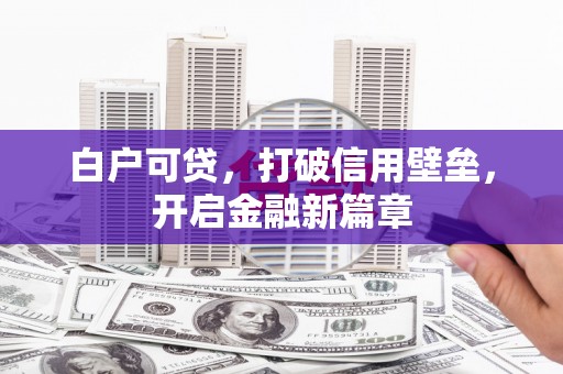 睢宁白户可贷，打破信用壁垒，开启金融新篇章