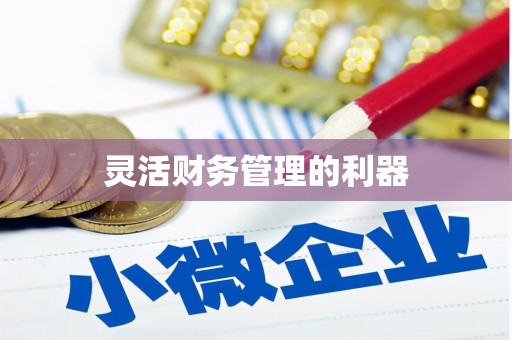 睢宁灵活财务管理的利器