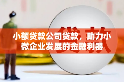 睢宁小额贷款公司贷款，助力小微企业发展的金融利器